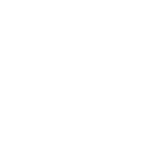 software